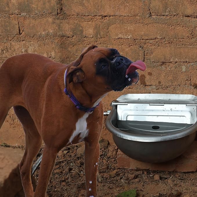 Automatic Dog Water Bowl Dispenser Large Size Pet Waterer Feeder - Image 7