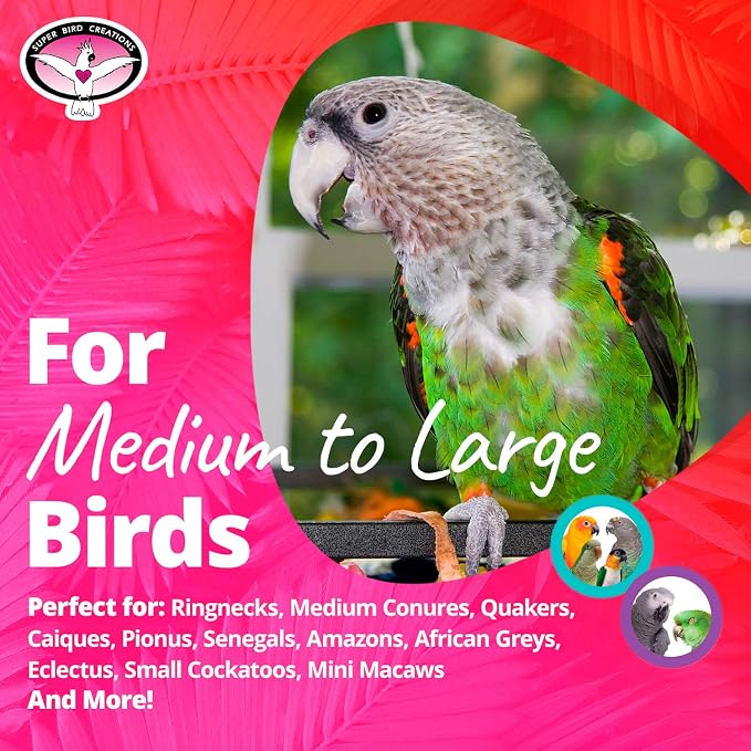 Super Bird Creations - Image 3