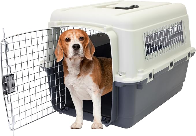 SportPet Designs Plastic Kennels Rolling Plastic Wire Door Travel Dog Crate - Image 2
