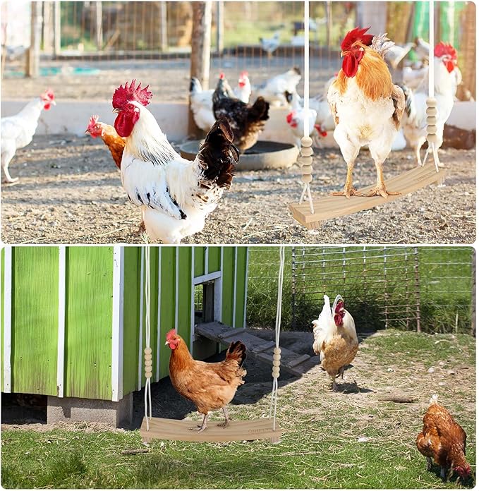 Arc-Shaped Chicken Swing Perch Enrichment Toys Handmade, Chicken Accessories - Image 6
