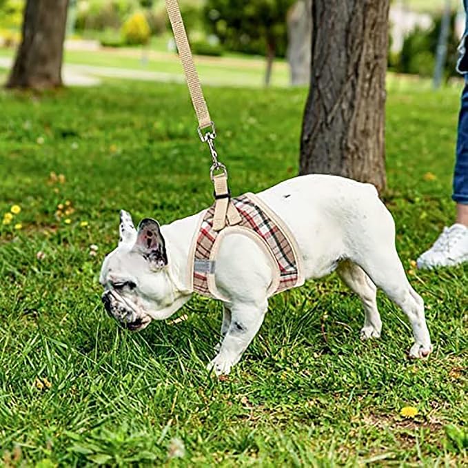 PUPTECK Adjustable Dog Harness Collar and Leash Set Step in No Pull Pet Harness - Image 8