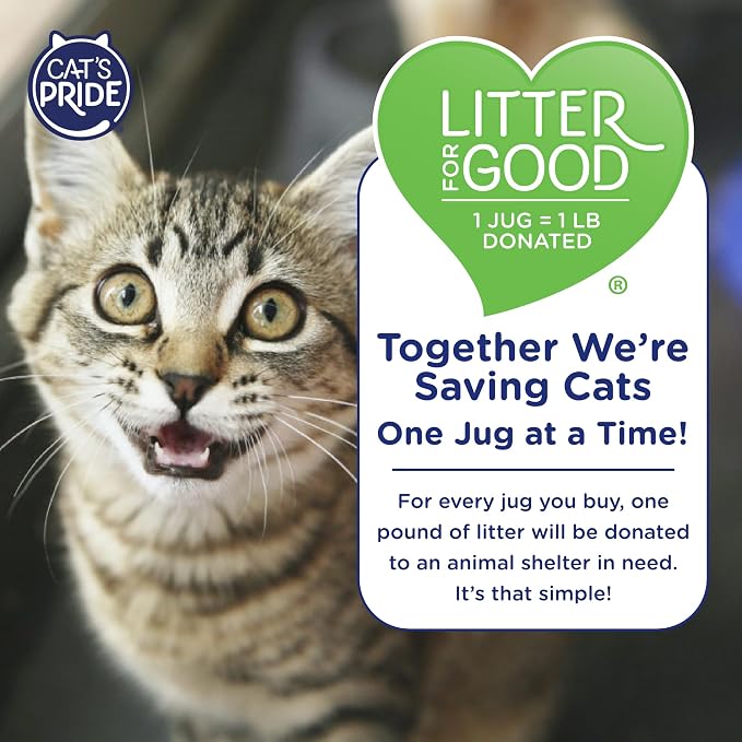 Cat's Pride Lightweight Clumping Litter: Baking Soda - Image 7