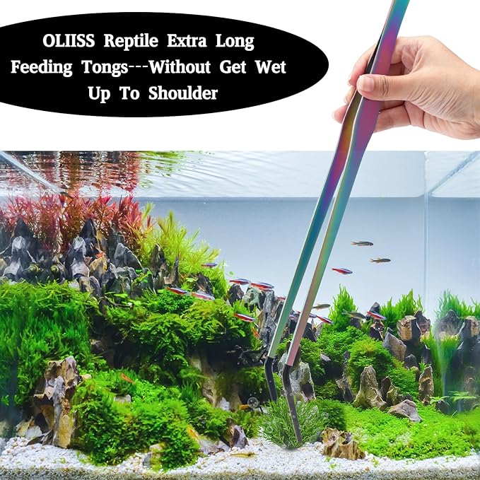 OLIISS Reptile Feeding Tongs - Image 5