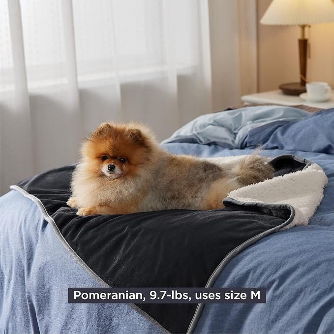 Bedsure Cat Blanket for Indoor Cats - Image 9