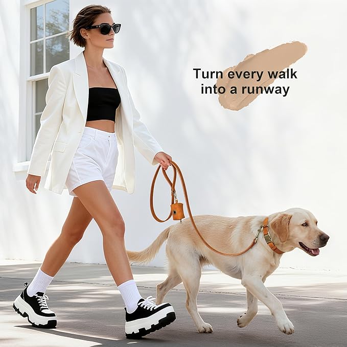 Didog Soft PU Leather Dog Collar, Stylish Quick Released Dog Collar - Image 4