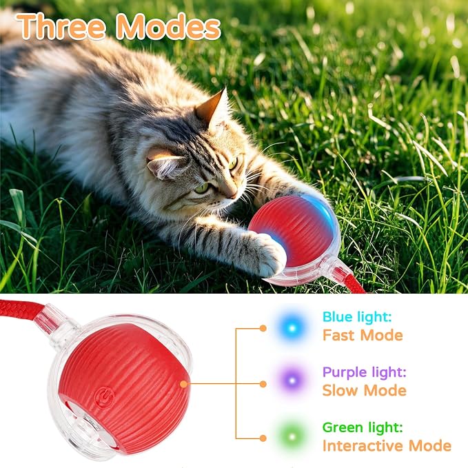 2025 New 2Pack Cat Ball Kitten Toys - Image 3