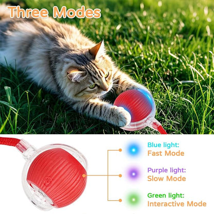 2025 New 2Pack Cat Ball Kitten Toys - Image 3