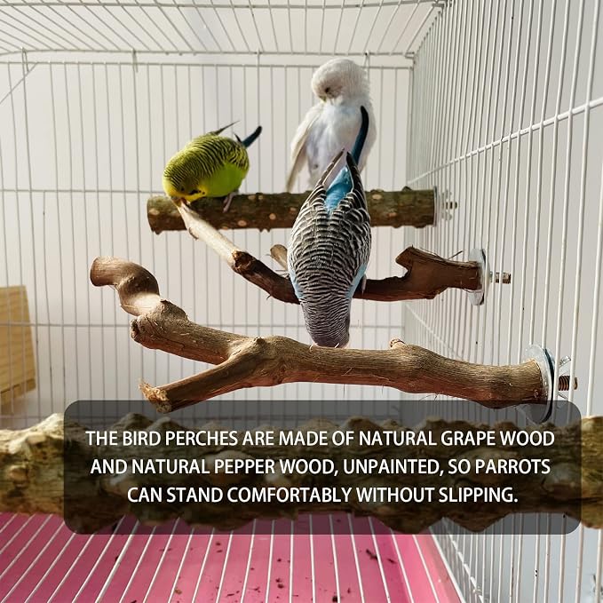 5PCS Bird Perch Stand Natural Wooden Parrot Stand Branch, 3 Grape Wood Perch - Image 4