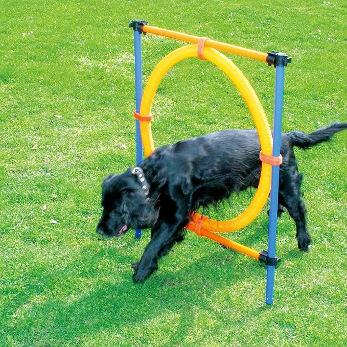 PAWISE Dog Agility Training Equipment, Puppy Agility Kit - Image 2
