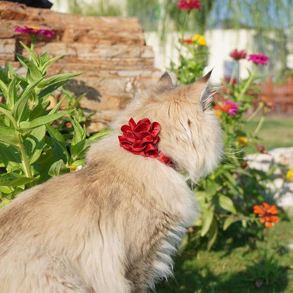 azuza 2 Pack Cat Collar Floral - Image 2
