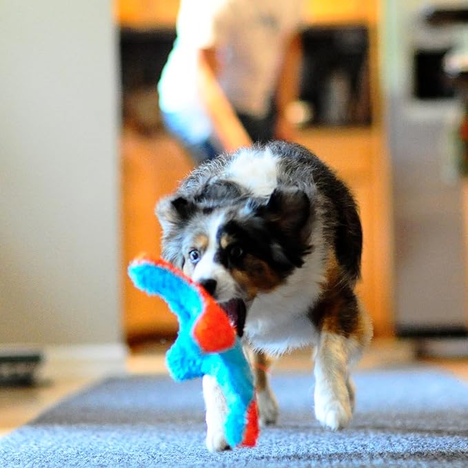 Chuckit! Indoor Fetch Squirrel Toy - Image 6