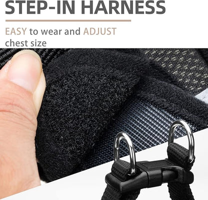 PUPTECK Adjustable Dog Harness Collar and Leash Set Step in No Pull Pet Harness - Image 3
