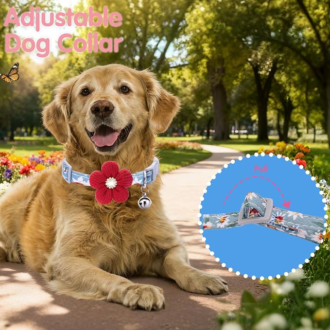 Medium Dog Collar with Flower, Dog Collars - Image 5