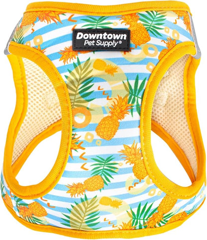 Downtown Pet Supply Step-in Dog Harness – No Pull, Adjustable Padded Mesh by DowntownPetSupply