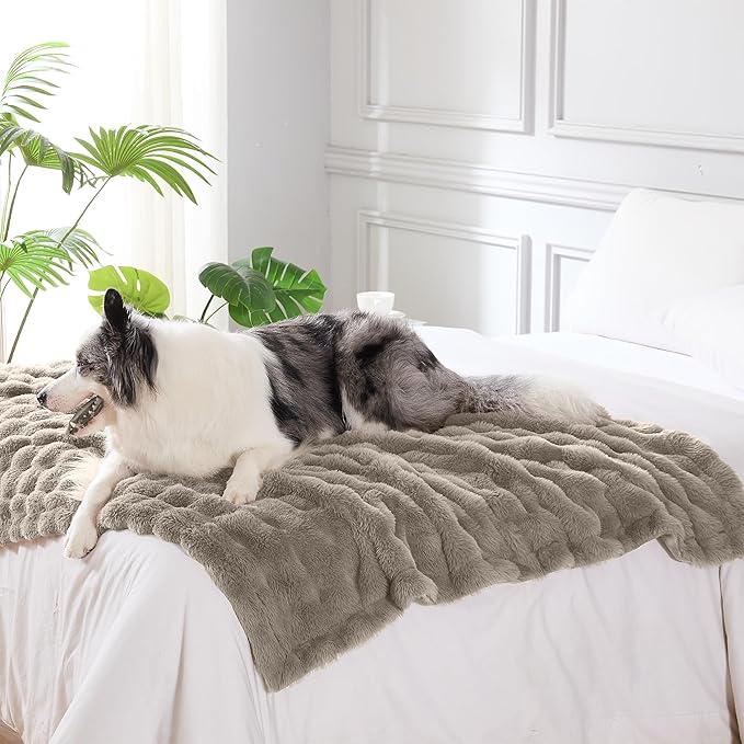 Modern Threads Water-Resistant Faux Rabbit Fur Pet Blanket - Image 2