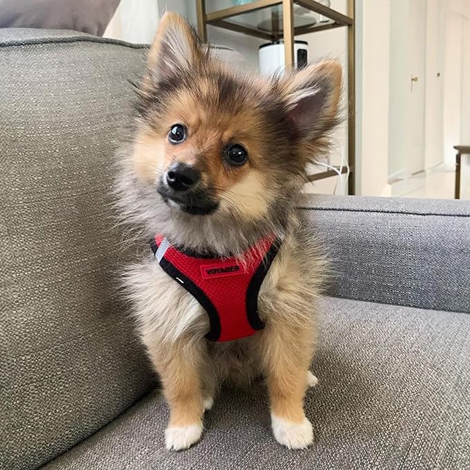 Best Pet Supplies Voyager Step-in Air All Weather Mesh Harness and Reflective - Image 8