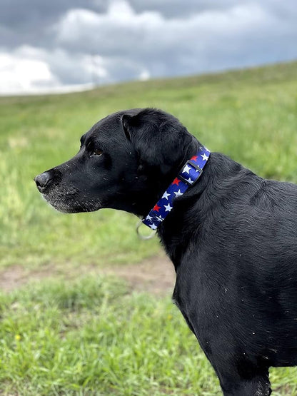 Native Pup American Flag Dog Collar- Red White and Blue- Patriotic Collars - Image 6
