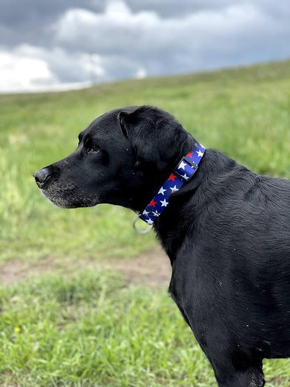 Native Pup American Flag Dog Collar- Red White and Blue- Patriotic Collars - Image 6