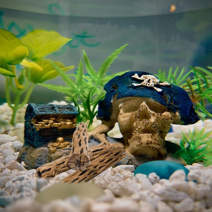 SunGrow Cholla Wood, 6” Climbing Logs, Chew Toy, Aquarium Fish, and Shrimp - Image 6