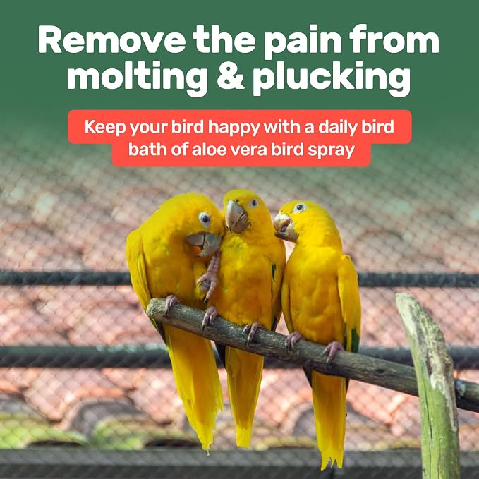 Aloe Vera Bird Spray - Image 5