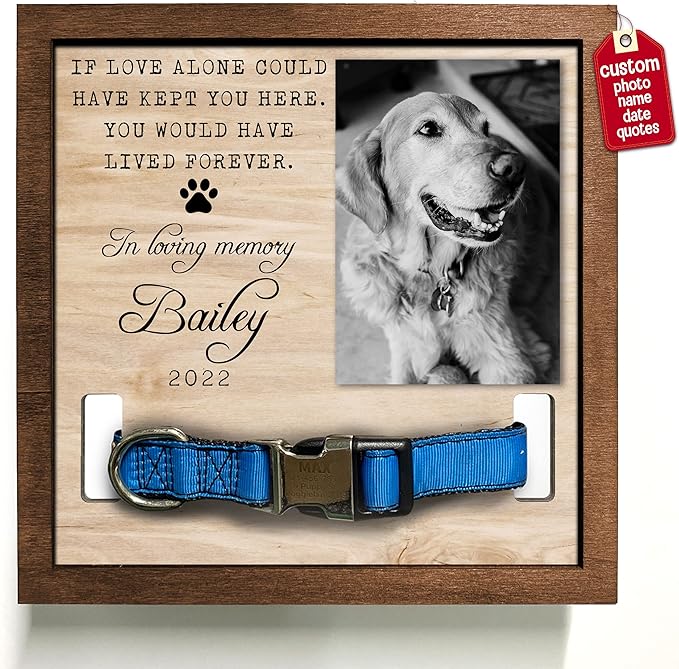 Pet Memorial Gifts Bereavement Gifts Cat Memorial Dog Loss Sympathy Custom Cat by Bfigift