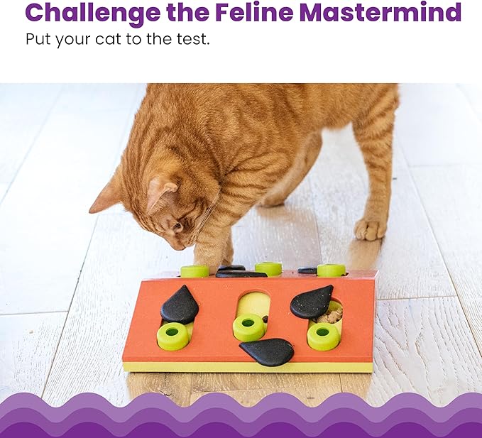 Catstages by Nina Ottosson Melon Madness Puzzle & Play – Interactive Treat - Image 2