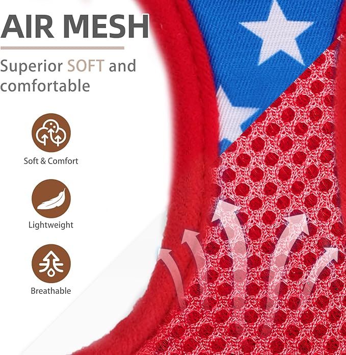 PUPTECK Adjustable Dog Harness Collar and Leash Set Step in No Pull Pet Harness - Image 2