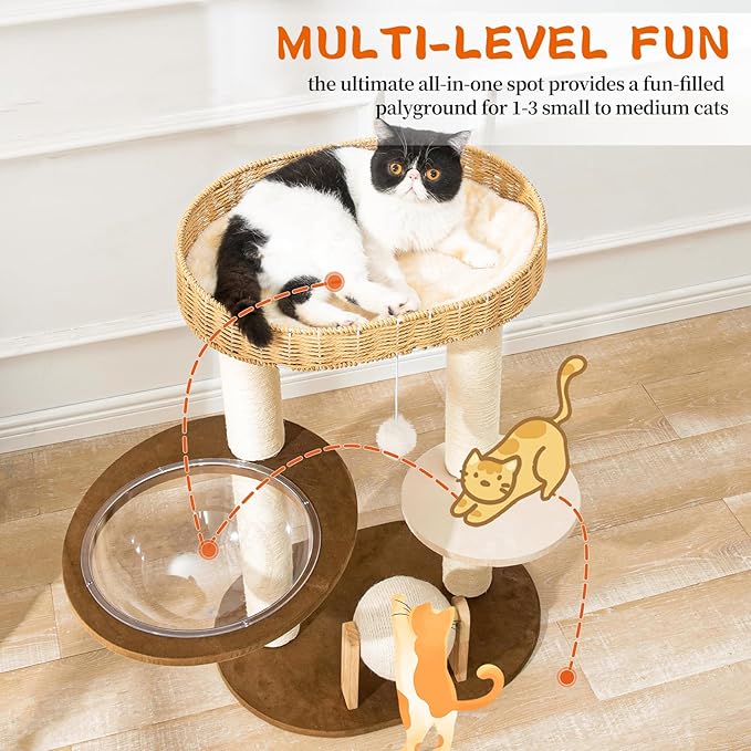 Modern Cat Tree for Indoor Cats, Wood Cat Tree - Image 2