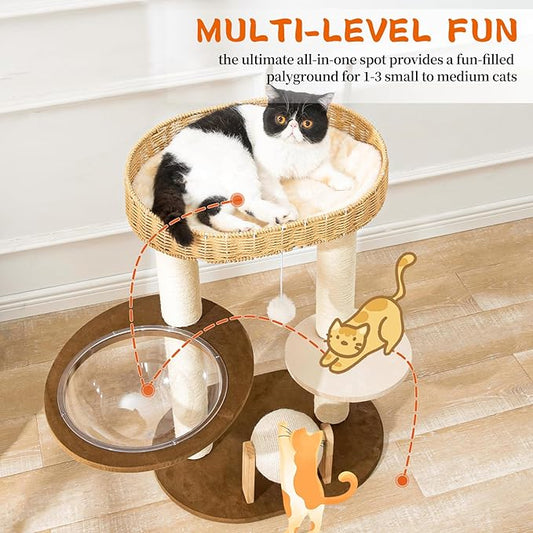 Modern Cat Tree for Indoor Cats, Wood Cat Tree - Image 2