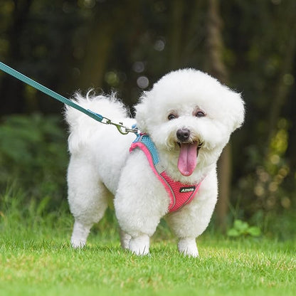 AIITLE No Pull Dog Harness and Leash Set, Step in Adjustable Dog Harness - Image 2