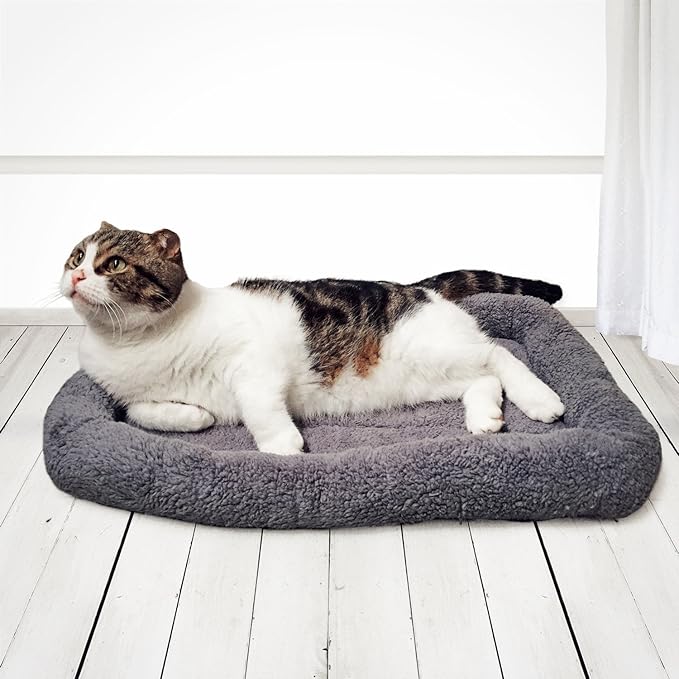 Enjoying Cat Mat Bed 16" x 22" Pet Bed - Image 5
