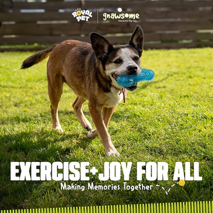 Gnawsome Dog Toys - Image 8