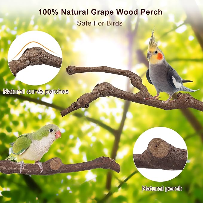 Mogoko 5PCS Bird Perch Natural Wood Grape Stick Stand, 3 Grape Stick Paw - Image 4