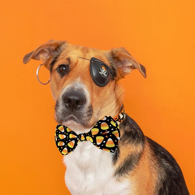 Halloween Dog Bow Tie Collar, Holiday Candy Corn Collar - Image 5