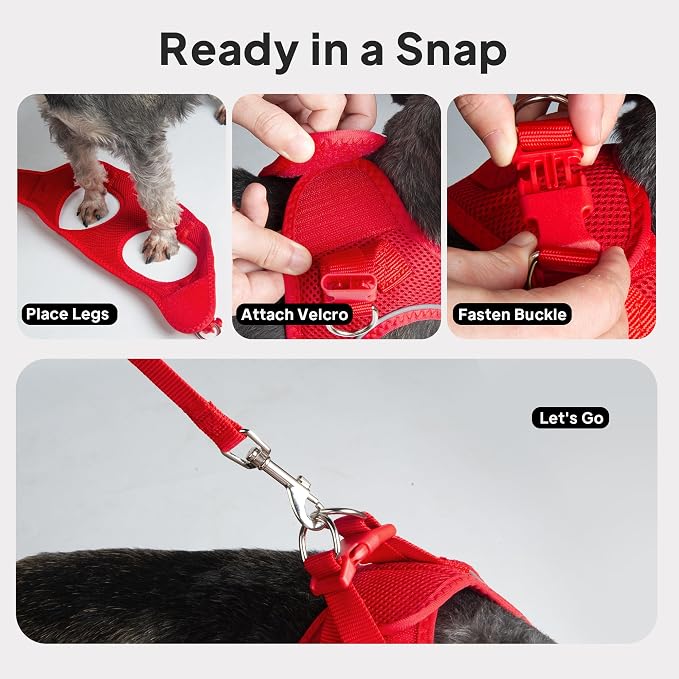 PetiFine Extra Small Step in Dog Harness and Leash Set, Cat Harness and Leash - Image 8