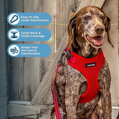 Voyager Step-in Pet Harness - Image 3