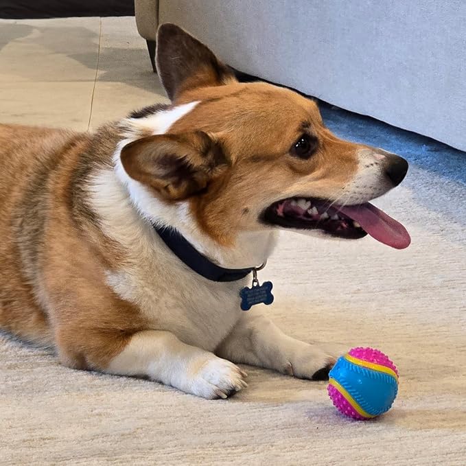 SPOT Sensory Ball for Soft Chewers - Image 8