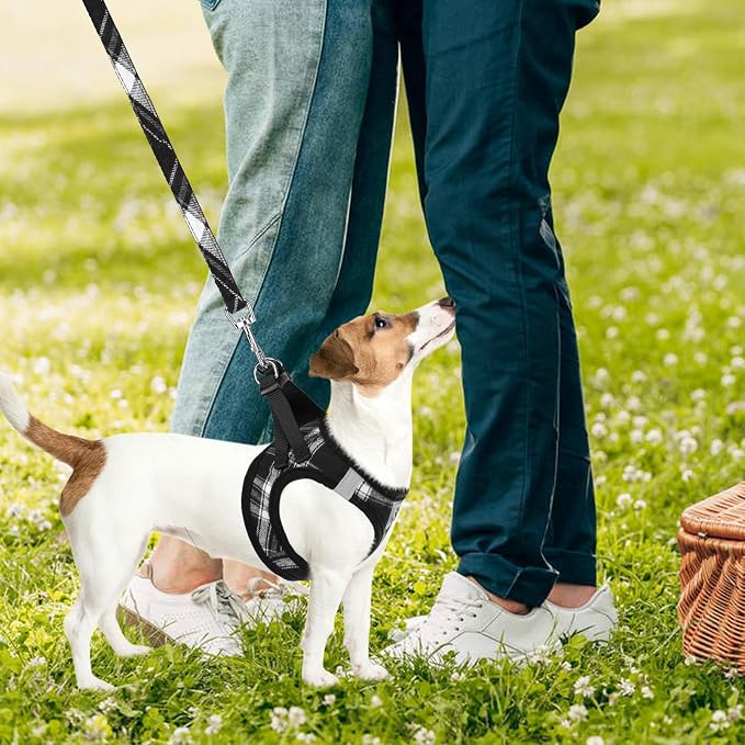 PUPTECK Adjustable Dog Harness Collar and Leash Set Step in No Pull Pet Harness - Image 7