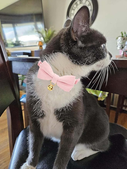 2 Pack Soft Corduroy Cat Collars - Image 8