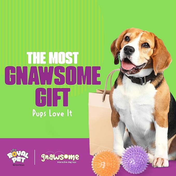 Gnawsome Medium Squeaker Ball Dog Toy, Medium 3.5", Colors will vary, All Breed - Image 7