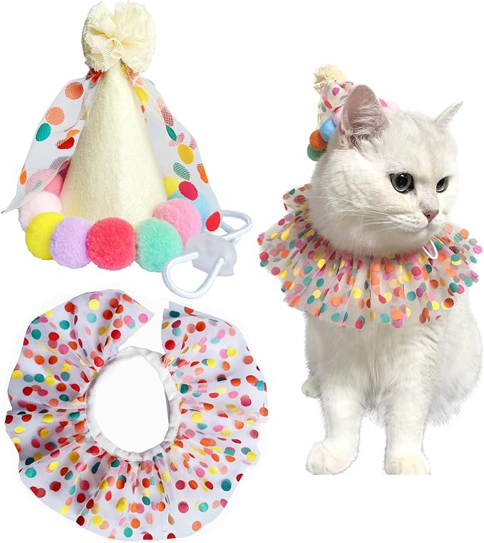 Cat Dog Princess Costumes Puppy Cat Birthday Bandana Scarf and Party Hat Cute by ROHOME