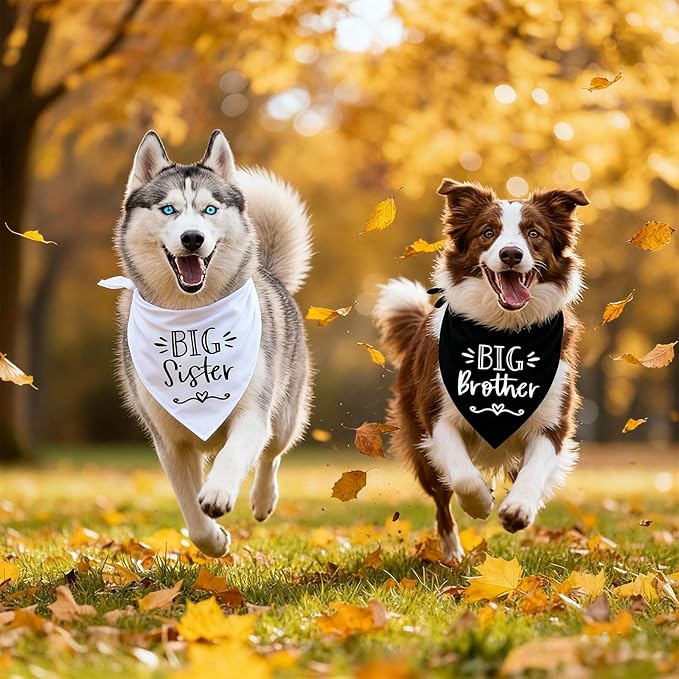 2 Pack Big Sister Big Brother Dog Bandanas, Adjustable Pet Bandana - Image 6