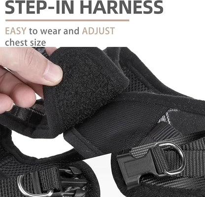 PUPTECK Adjustable Dog Harness Collar and Leash Set Step in No Pull Pet Harness - Image 3