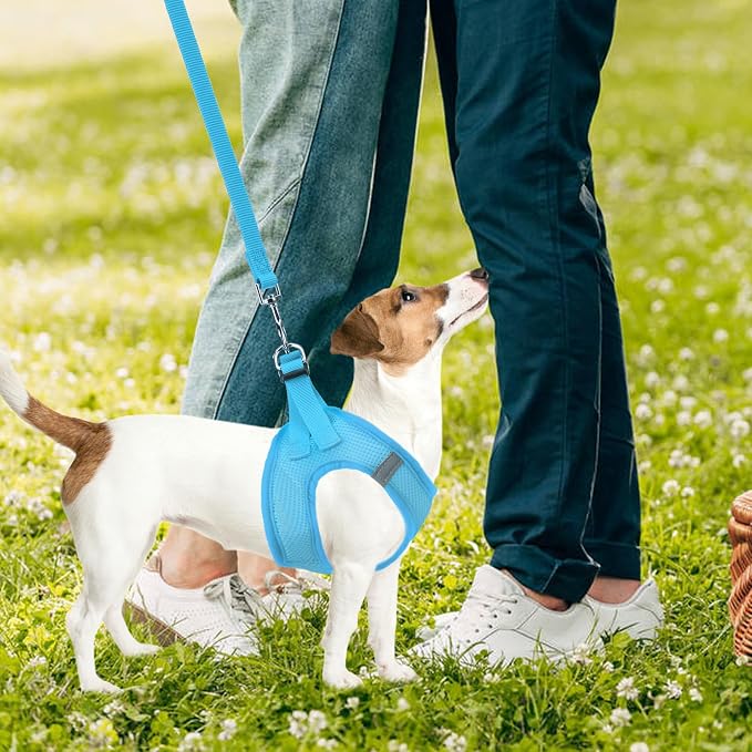 PUPTECK Adjustable Dog Harness Collar and Leash Set Step in No Pull Pet Harness - Image 7