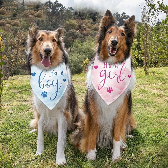 2 Packs It's a Boy and It's a Girl Gender Reveal Dog Bandana Baby Announcement - Image 3