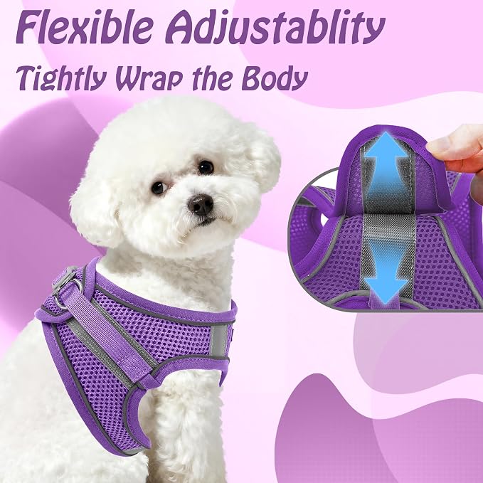 AIITLE Dog Harness, No-Pull Cat Harness - Image 3