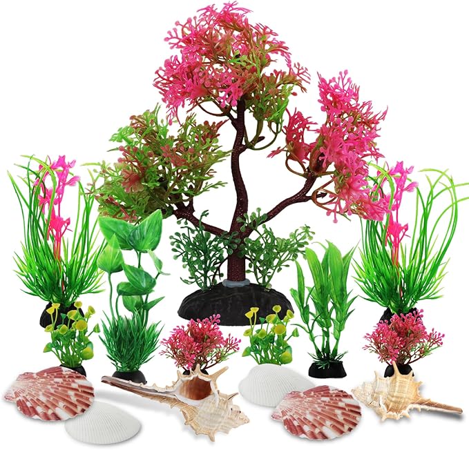 Aquarium Plants with Natural Decorations Shells by Unknown