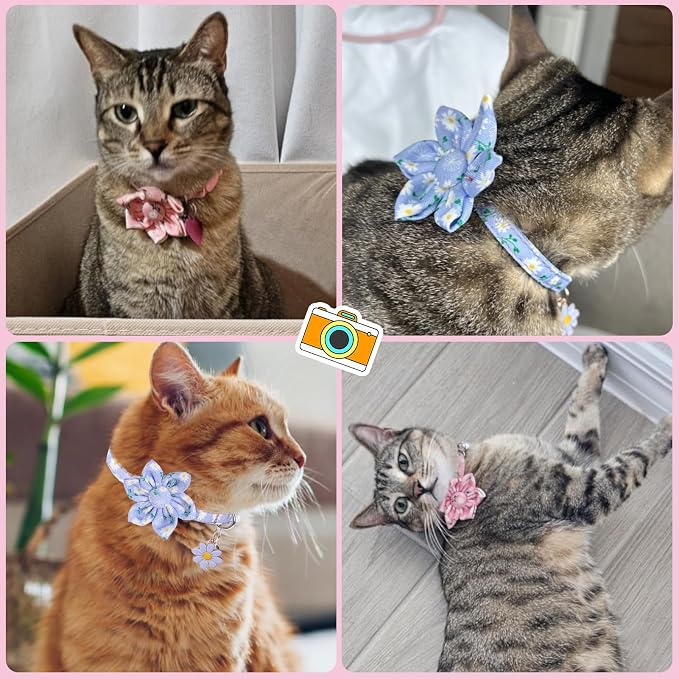 Breakaway Cat Collars for Girl Boy Cats, 2 Pack Cute Kitten Collar - Image 2
