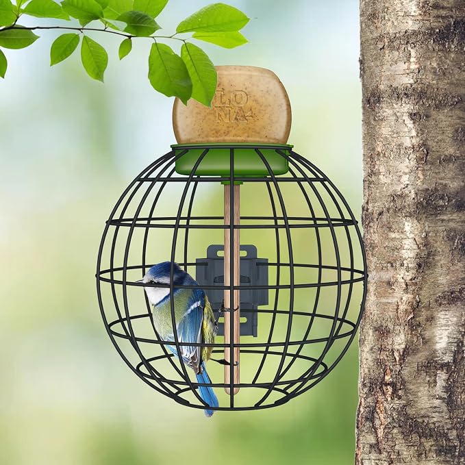 LONA Squirrel Proof Bird Feeding Cage - Image 2