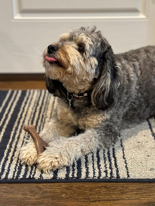 SPOT Bam-Bones Wishbone - Image 6